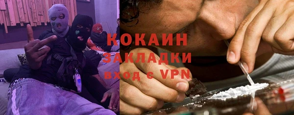 прущие грибы Алзамай