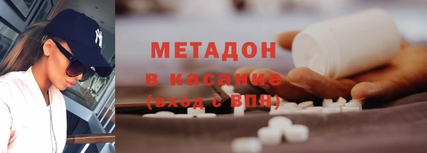прущие грибы Алзамай
