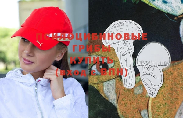 прущие грибы Алзамай