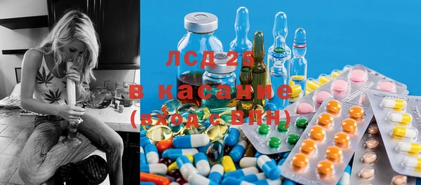 прущие грибы Алзамай