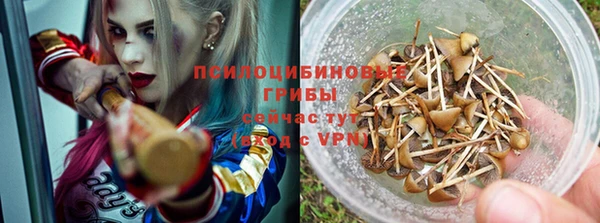прущие грибы Алзамай